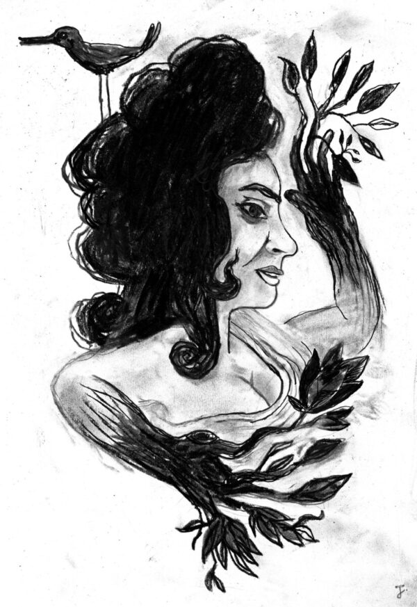 daphné - métamorphoses d'ovide - julien cordier - illustration